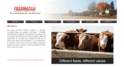 Desktop Screenshot of feedmatch.com